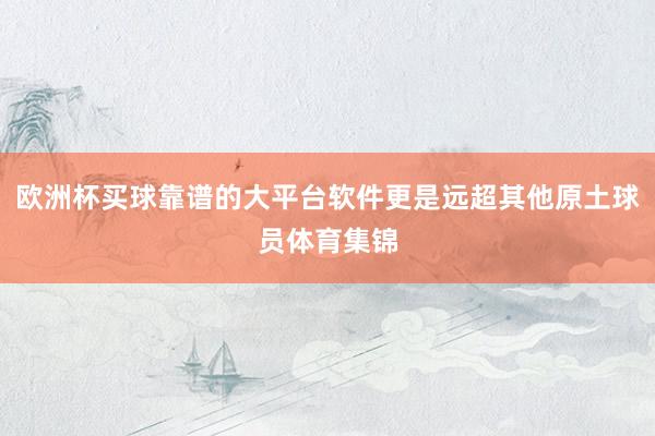 欧洲杯买球靠谱的大平台软件更是远超其他原土球员体育集锦