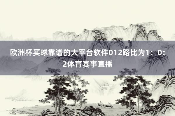 欧洲杯买球靠谱的大平台软件012路比为1：0：2体育赛事直播