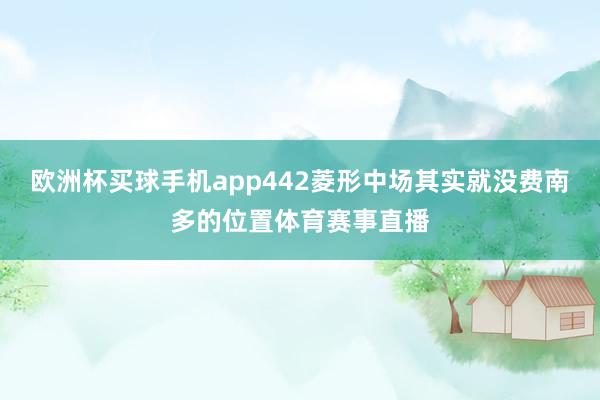 欧洲杯买球手机app442菱形中场其实就没费南多的位置体育赛事直播