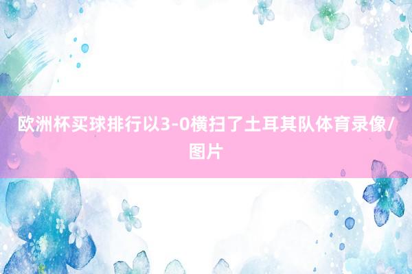 欧洲杯买球排行以3-0横扫了土耳其队体育录像/图片