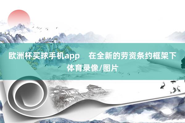 欧洲杯买球手机app    在全新的劳资条约框架下体育录像/图片