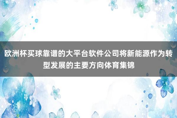 欧洲杯买球靠谱的大平台软件公司将新能源作为转型发展的主要方向体育集锦