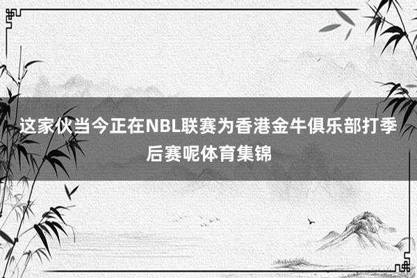 这家伙当今正在NBL联赛为香港金牛俱乐部打季后赛呢体育集锦