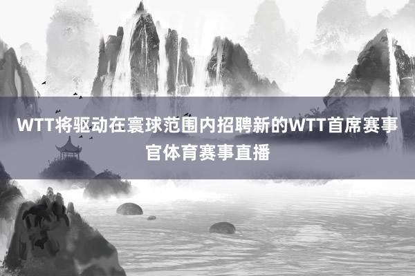 WTT将驱动在寰球范围内招聘新的WTT首席赛事官体育赛事直播