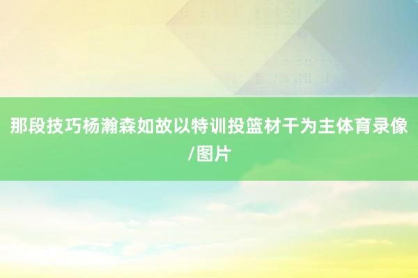 那段技巧杨瀚森如故以特训投篮材干为主体育录像/图片