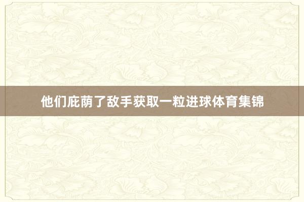 他们庇荫了敌手获取一粒进球体育集锦