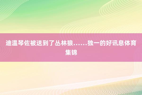 迪温琴佐被送到了丛林狼……独一的好讯息体育集锦