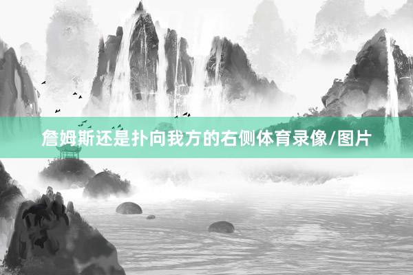 詹姆斯还是扑向我方的右侧体育录像/图片